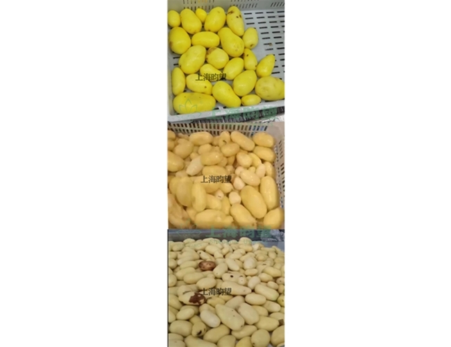 土豆蒸汽去皮机成品展示