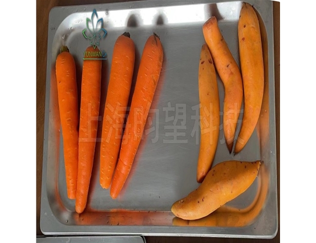 胡萝卜蒸汽去皮机